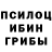 Псилоцибиновые грибы ЛСД ZeD Chel