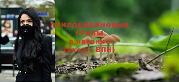 дживик Белоозёрский