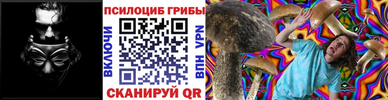 Псилоцибиновые грибы Psilocybe  Нижняя Салда 